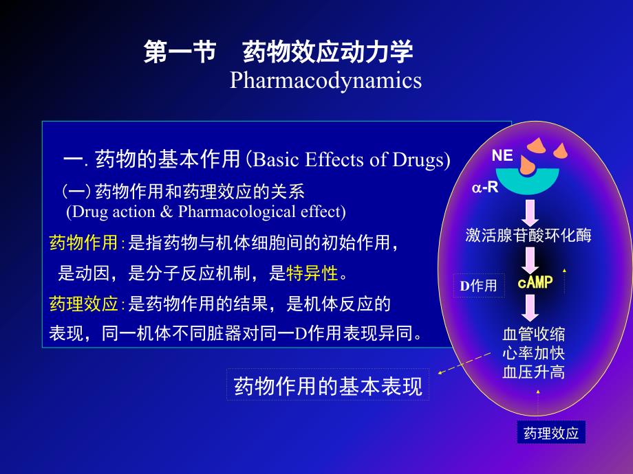 兽医药理学课件（第1章）ppt课件_第4页