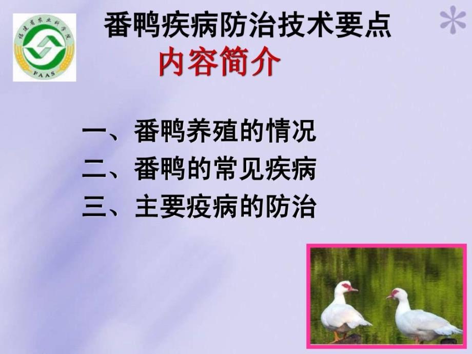 资料番鸭疾病防治技巧要点畜牧兽医农林牧渔专业资料课件_第1页