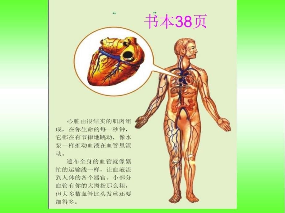 四年级科学课件（保护心脏 ）_第5页