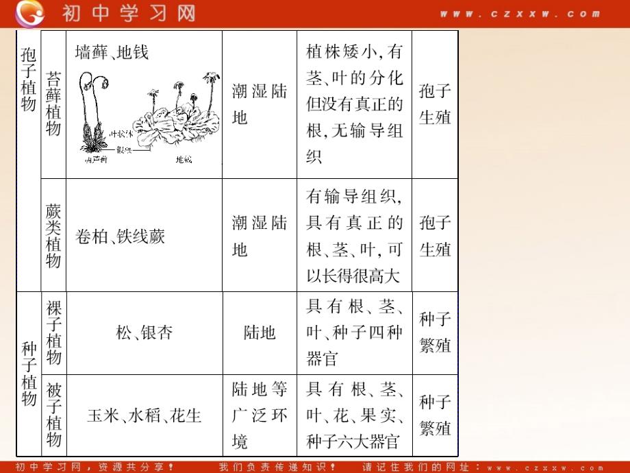 2011年生物中考专题4 生物圈中的人 (2)_第3页