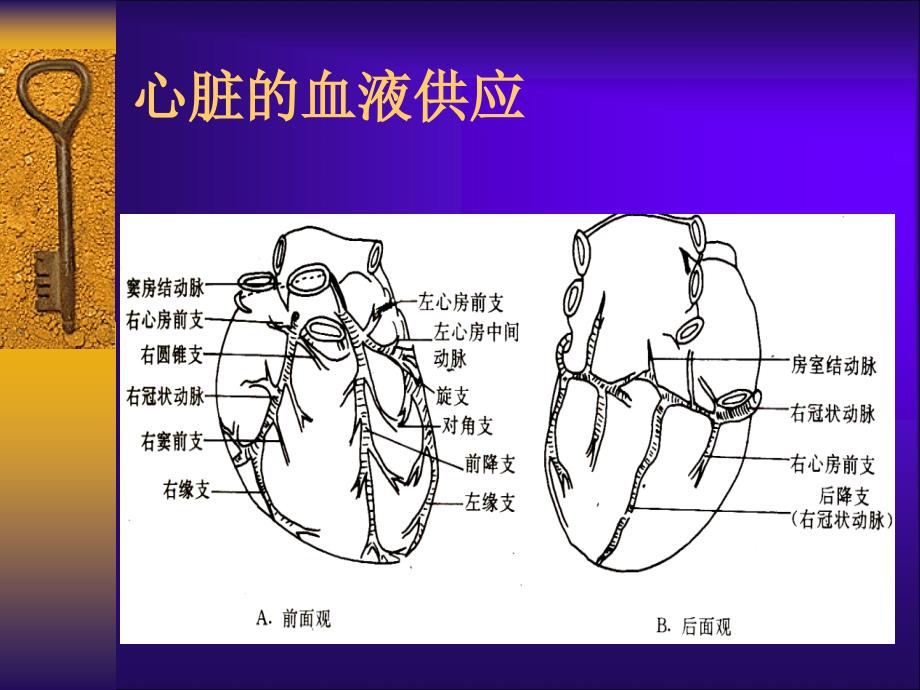 急性心肌梗死病例讨论图文课件_第3页