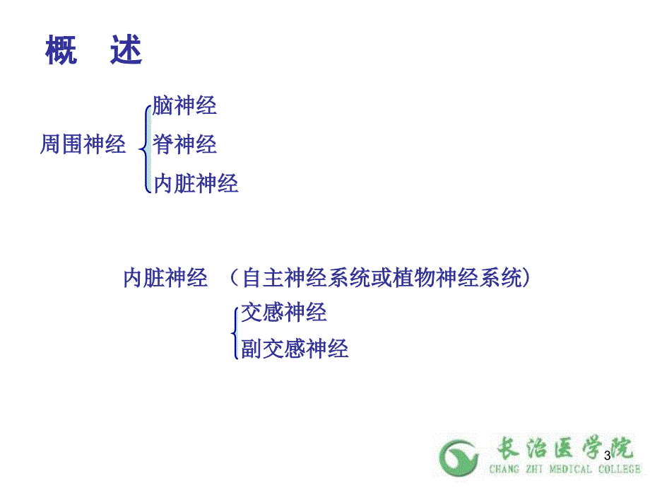 人体解剖学之神经系统 第十五章 周围神经系统 脊神经 课件 （1）_第3页