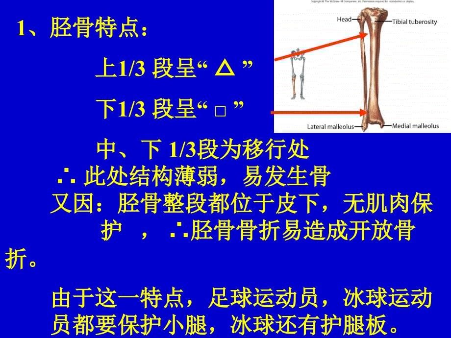 胫腓骨骨折外科学课件_第5页