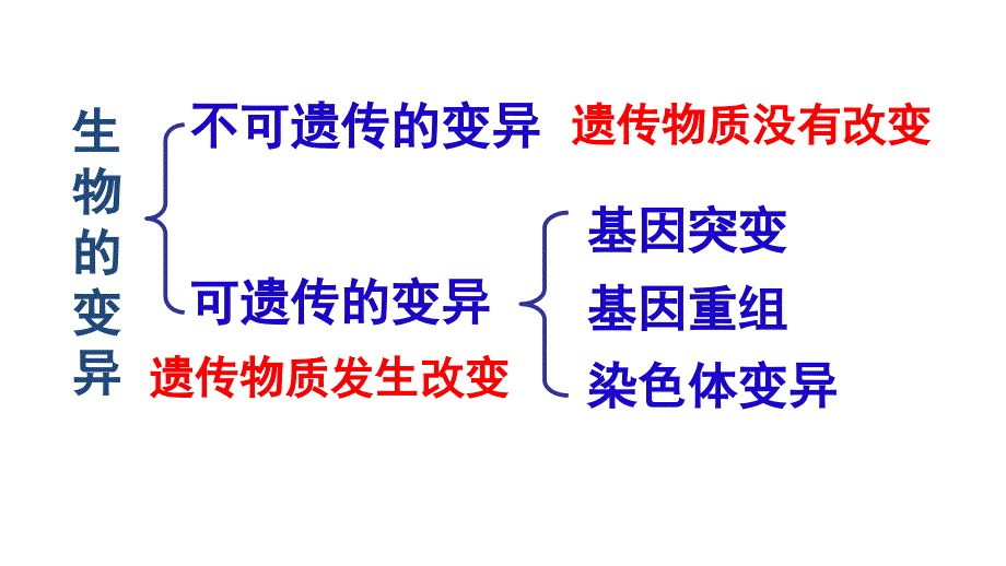 基因突变和基因重组课件定稿_第4页