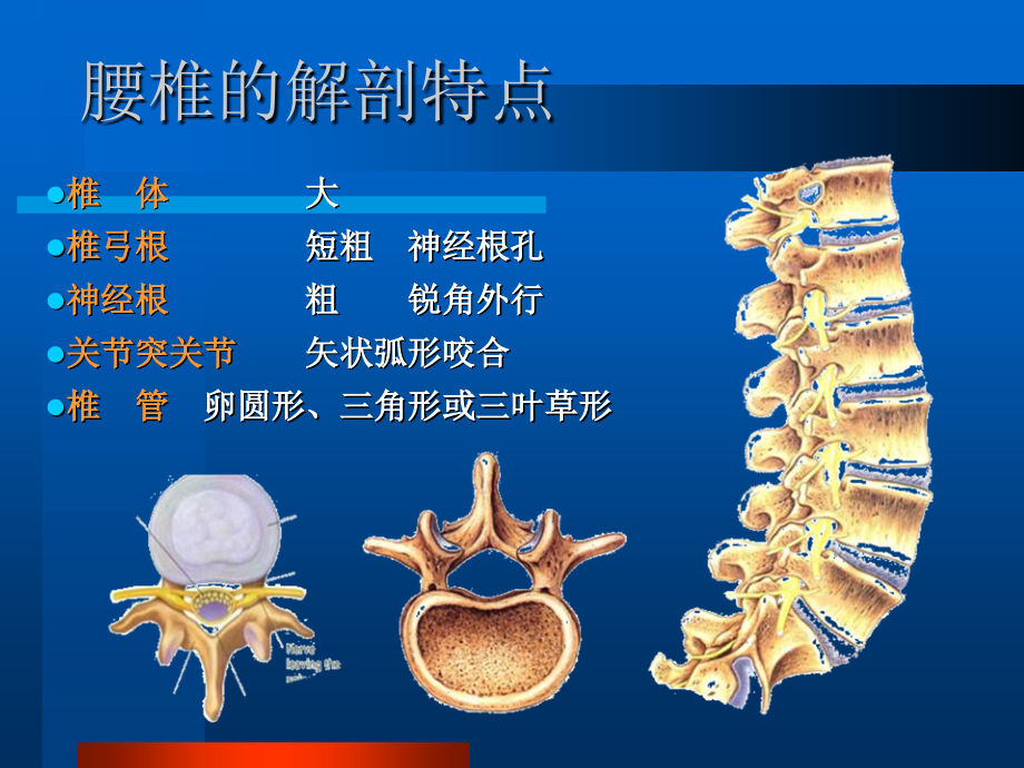 腰椎间盘突出症_21课件_第3页