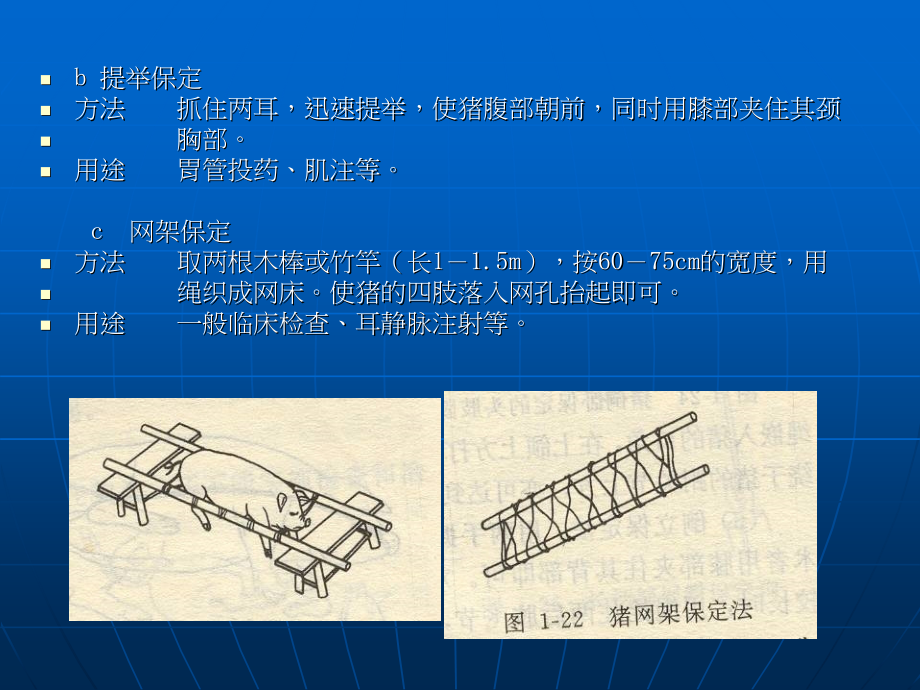 超强经典临床医学教程畜禽疾病防治课程课件（兽医诊疗）_第4页