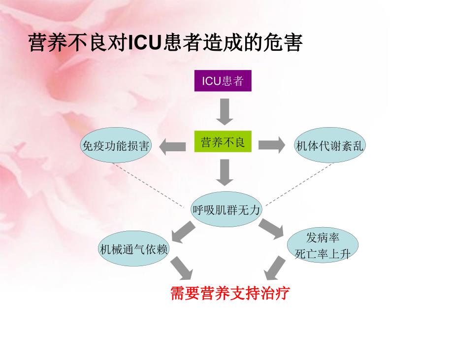 患者营养支持技术课件_第4页