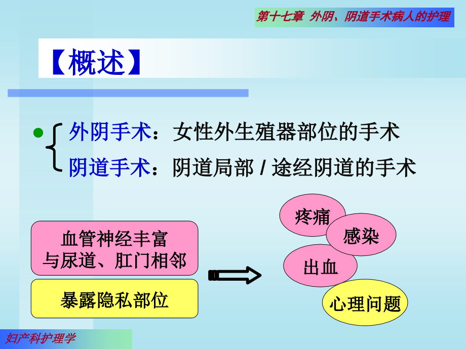 高危妊娠妇女的护理课件 (2)_第3页