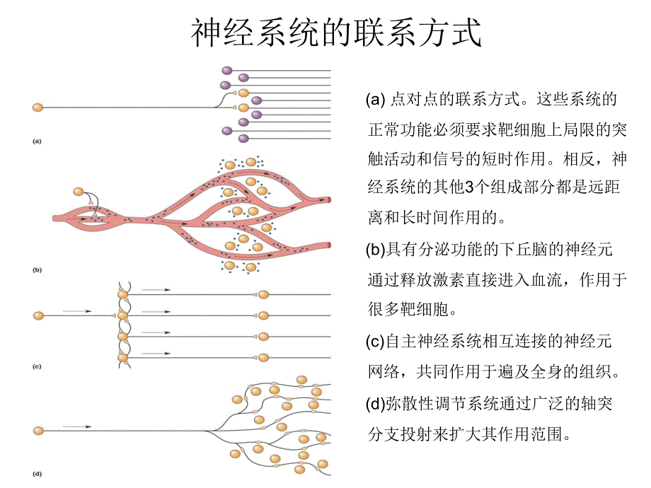 脑和行为的化学调控动机情绪课件_第3页