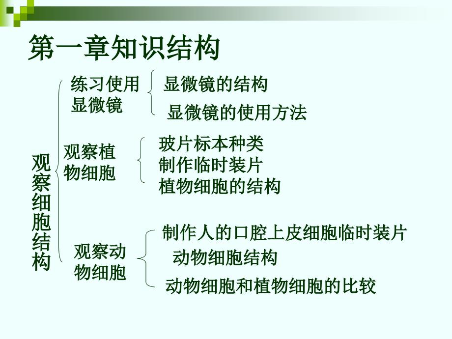 2013新人教七年级上册生物第二单元复习_第2页