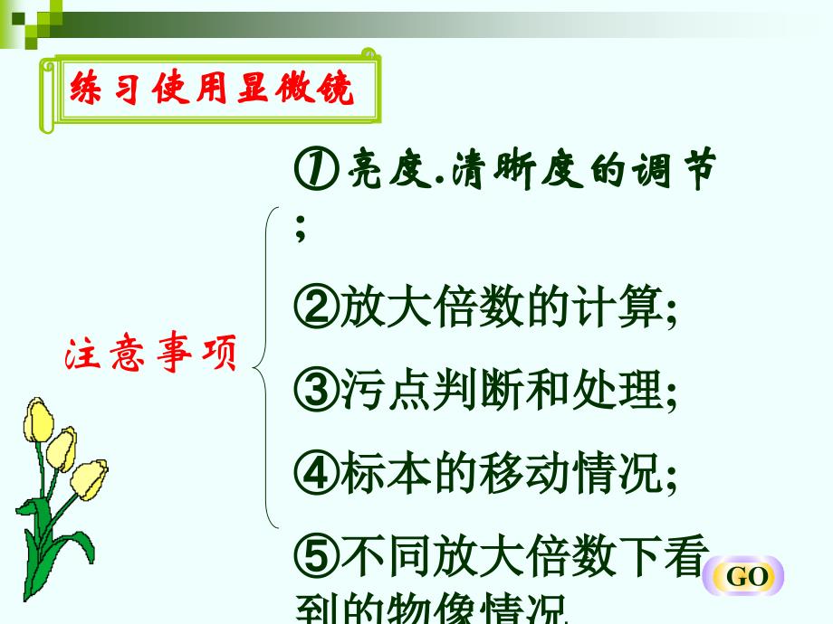 2013新人教七年级上册生物第二单元复习_第4页