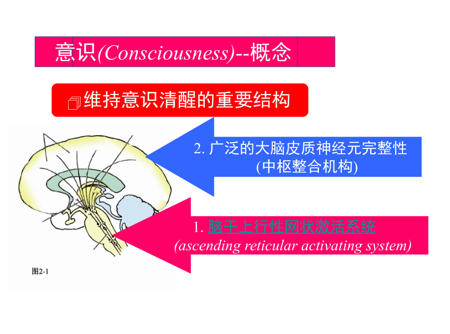 总论常见症状_1课件_第4页