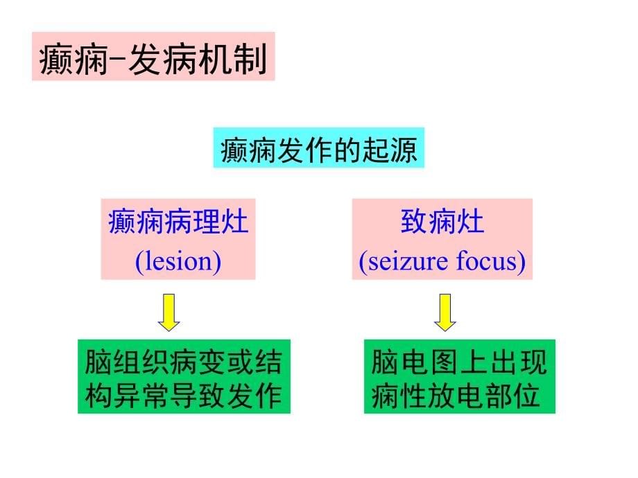 癫痫常识和概念是什么课件_第5页