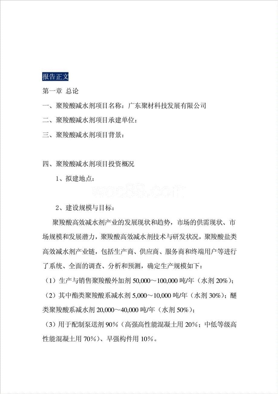 聚羧酸系减水剂项目资金申请报告.doc_第5页