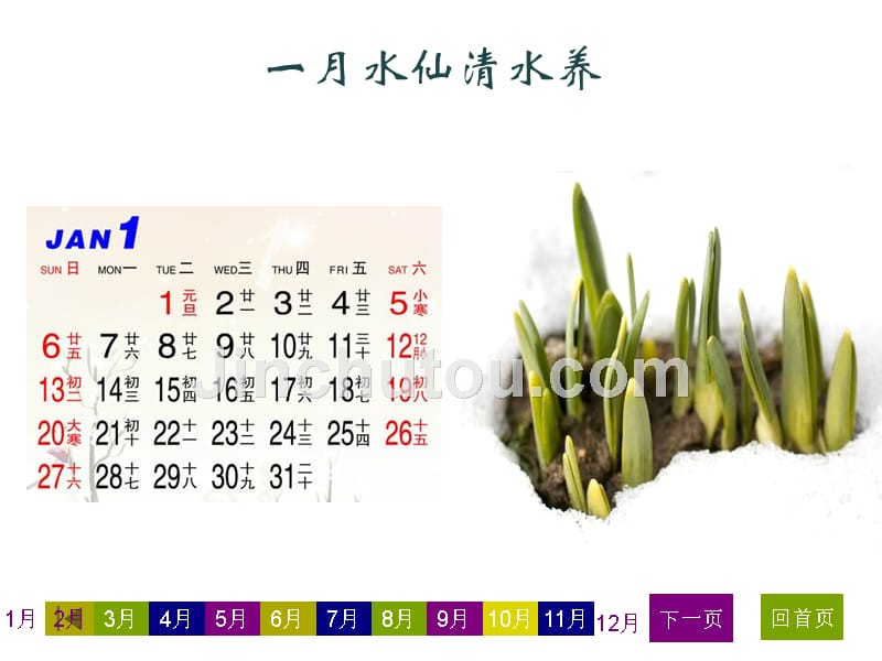 2013年花语贺新春月历_第2页