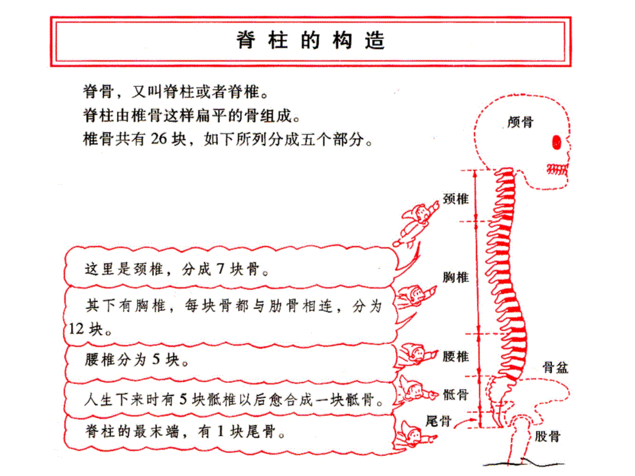 颈椎病康复保健操课件_第2页