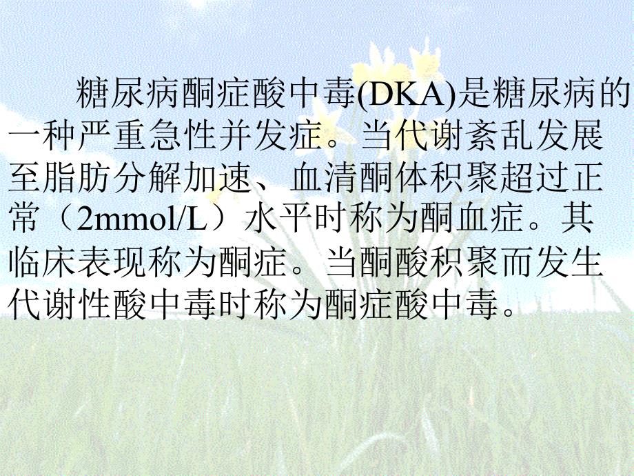 酮症酸中毒幻灯片 医学课件ppt 24页_第2页