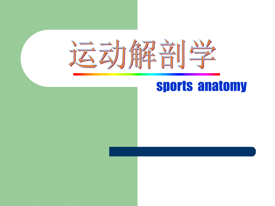 运动解剖学骨的形态观察课件_第1页