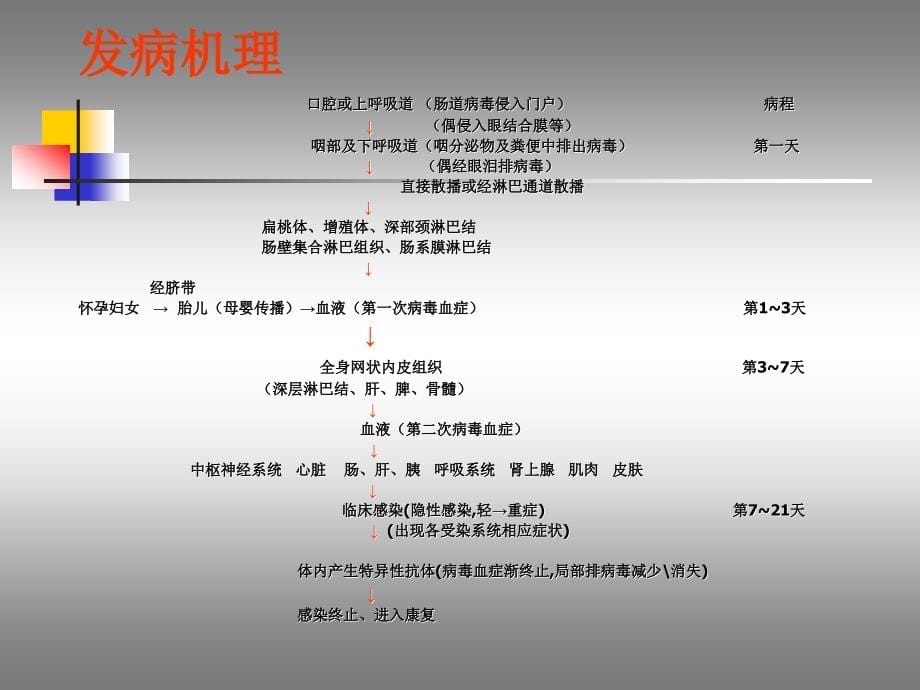 手足口病诊治应注意的问题海南省人民医院儿科向伟课件_第5页