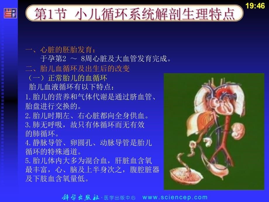 循环系统疾病患儿的护理ppt课件_第5页