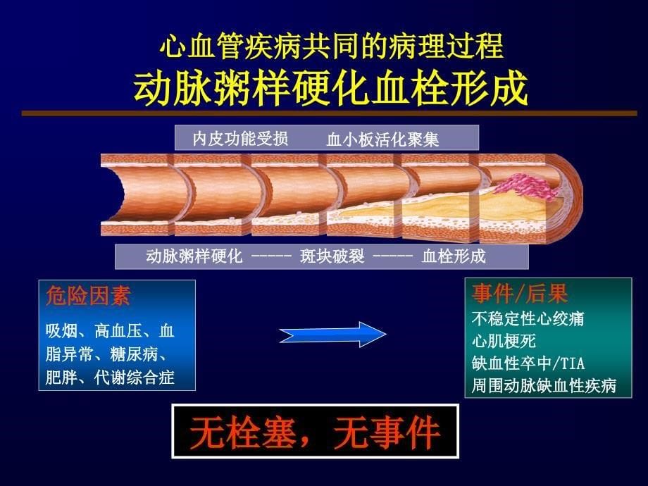 关注抗栓治疗的出血问题周晓芳课件_第5页