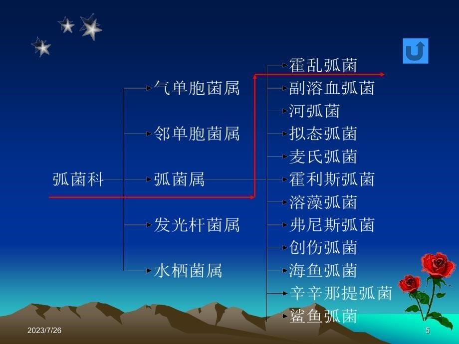 2013肠道传染病ppt课件_第5页