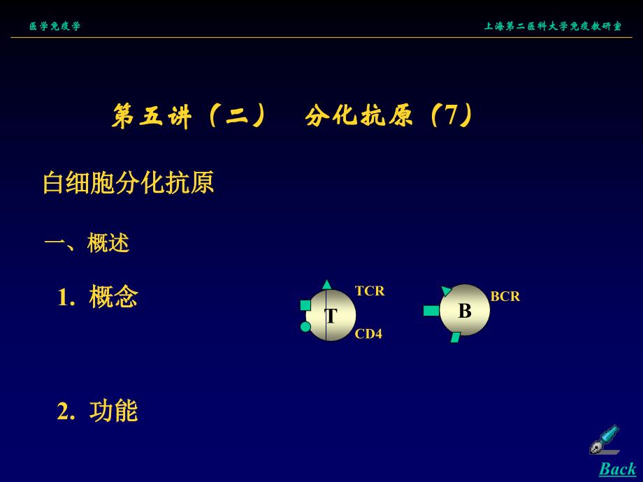 分化抗原1（nxpowerlite） ppt课件_第1页