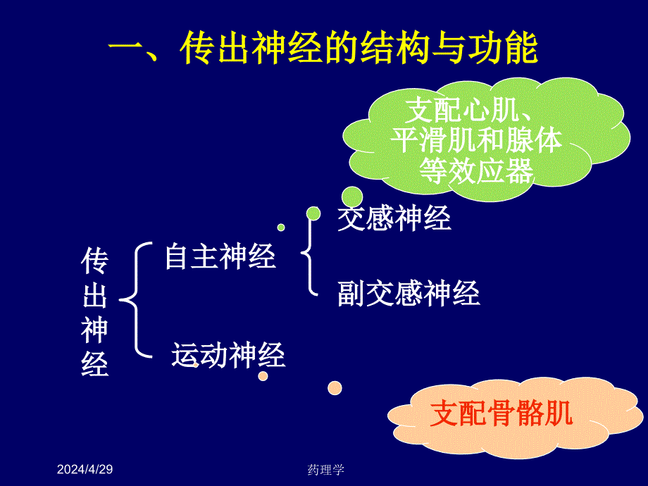 药理学 5传出神经系统药理学概论幻灯片课件_第2页