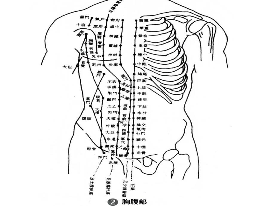 针灸人体穴位图大全pptppt课件_第2页