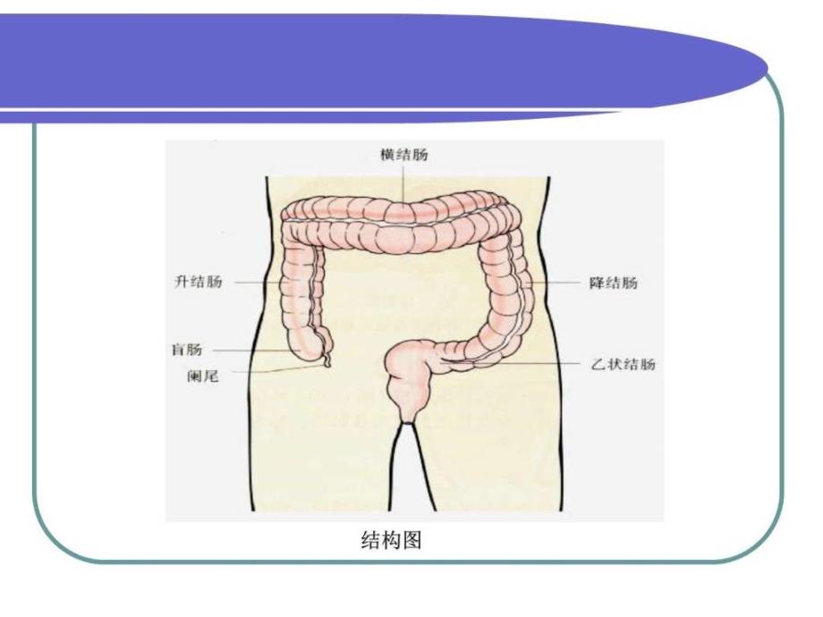 结肠癌患者的护理查房ppt课件图文_第4页