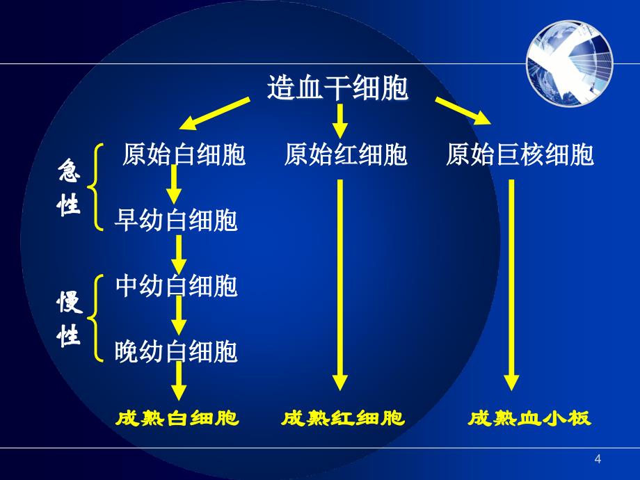 血液系统疾病病人护理_7课件_第4页