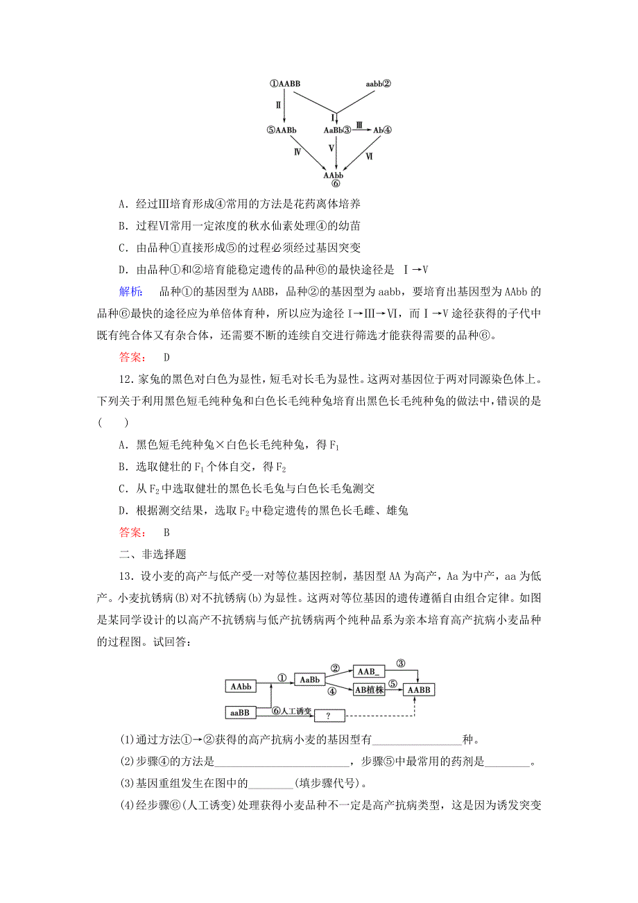 2015届高三生物二轮复习：《杂交育种与诱变育种》_第4页