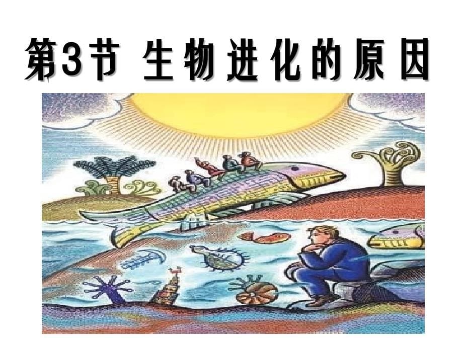 《生物进化的原因课件》初中生物苏科版八年级下册_第5页