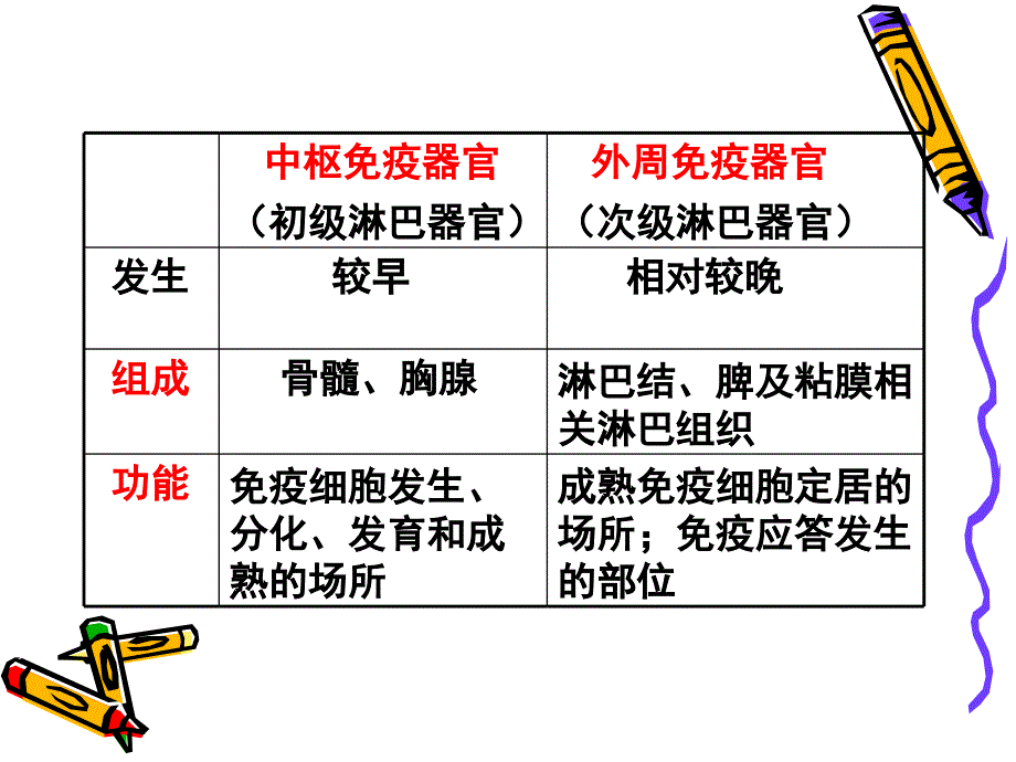 （人卫5版医学免疫学）第二章 免疫器官和组织_第3页