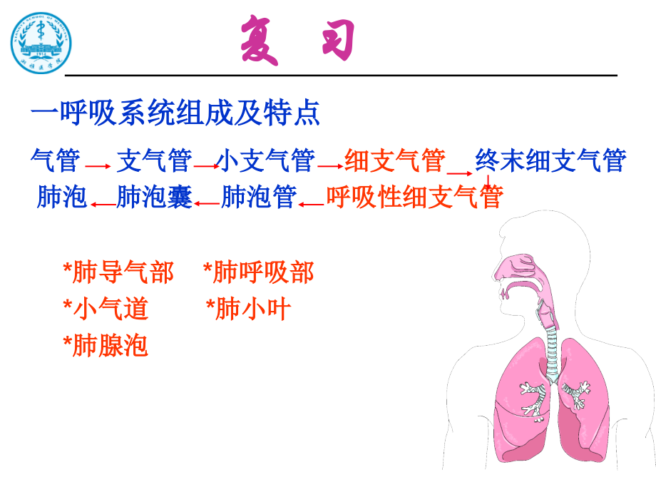 呼吸系统疾病6ppt课件_第2页