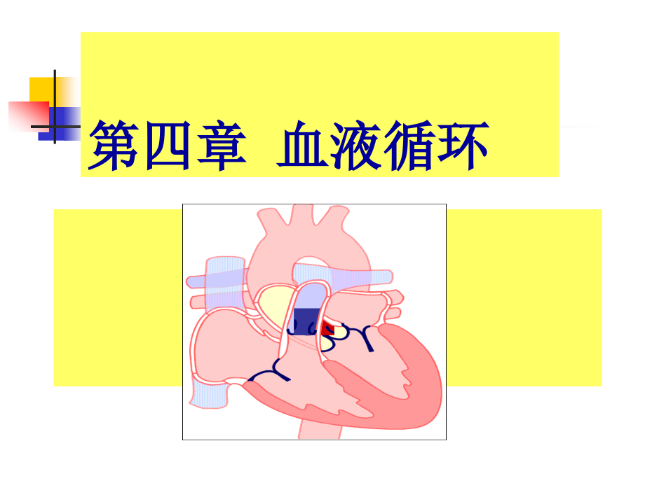 动物生理学第四章 血液循环 ppt课件_第1页