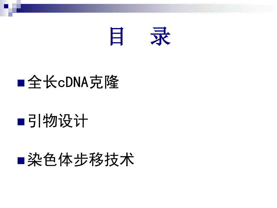 基因引物设计ppt课件_第2页
