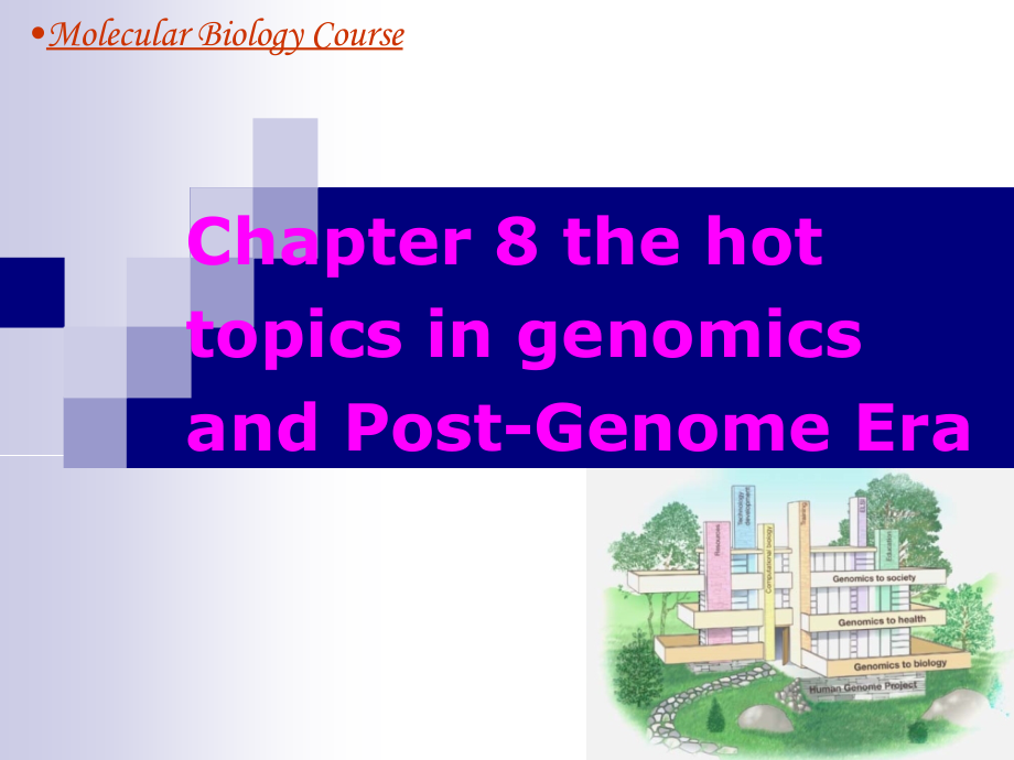 分子生物学chapter8 the hot topics in genomics and postgenome _第1页