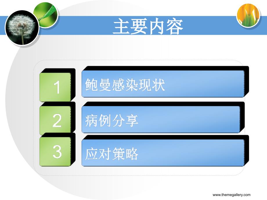 鲍曼不动杆菌应对策略ppt课件_第2页