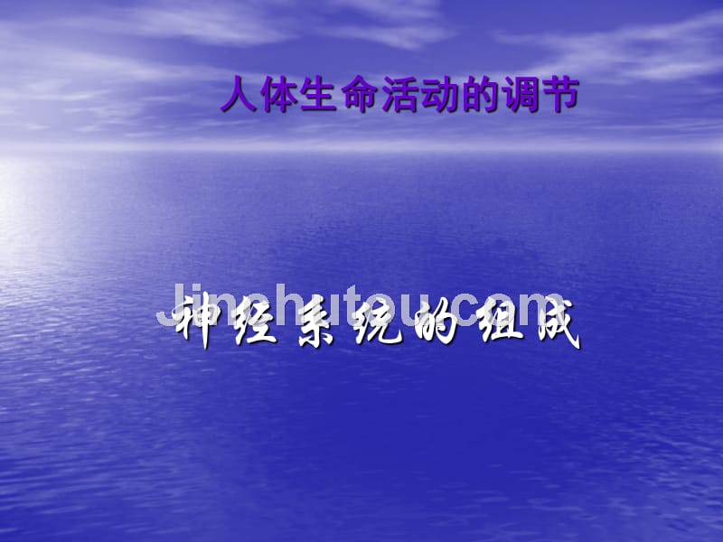 神经系统的组成_ppt课件_第4页