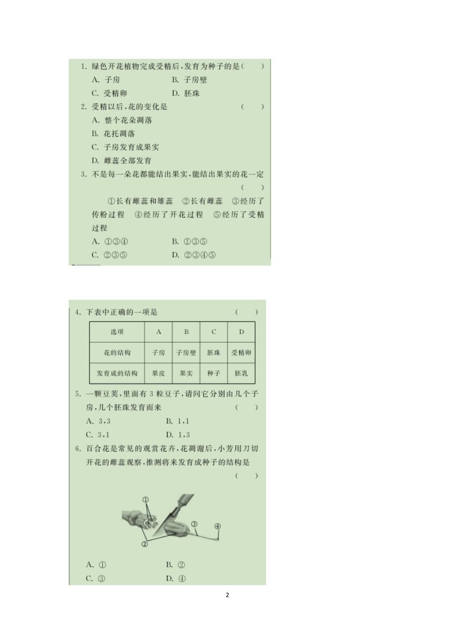 济南版八年级生物上册第一章绿色开花植物的一生第三节果实和种子的形成梳理 练习(图片版,含两课时 答案)_第2页