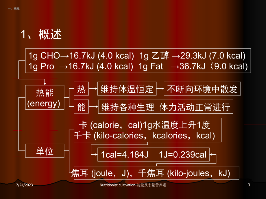 能量及宏量营养素ppt课件_第3页