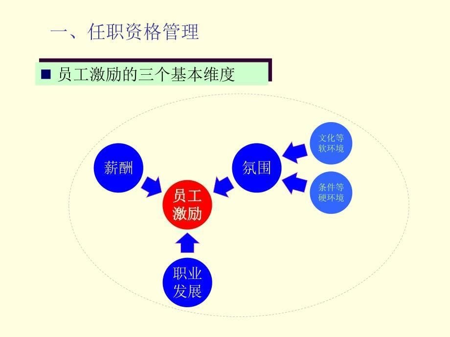 企业管理发展利器：XXX公司建立任职资格体系(打印版)_第5页