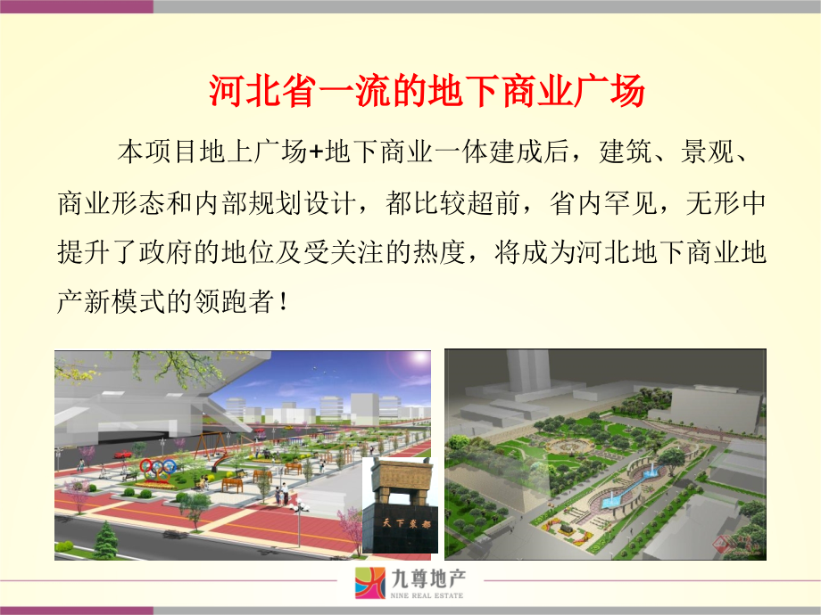 2011衡水枣强大营火车站地块营销策划报告102p_第3页