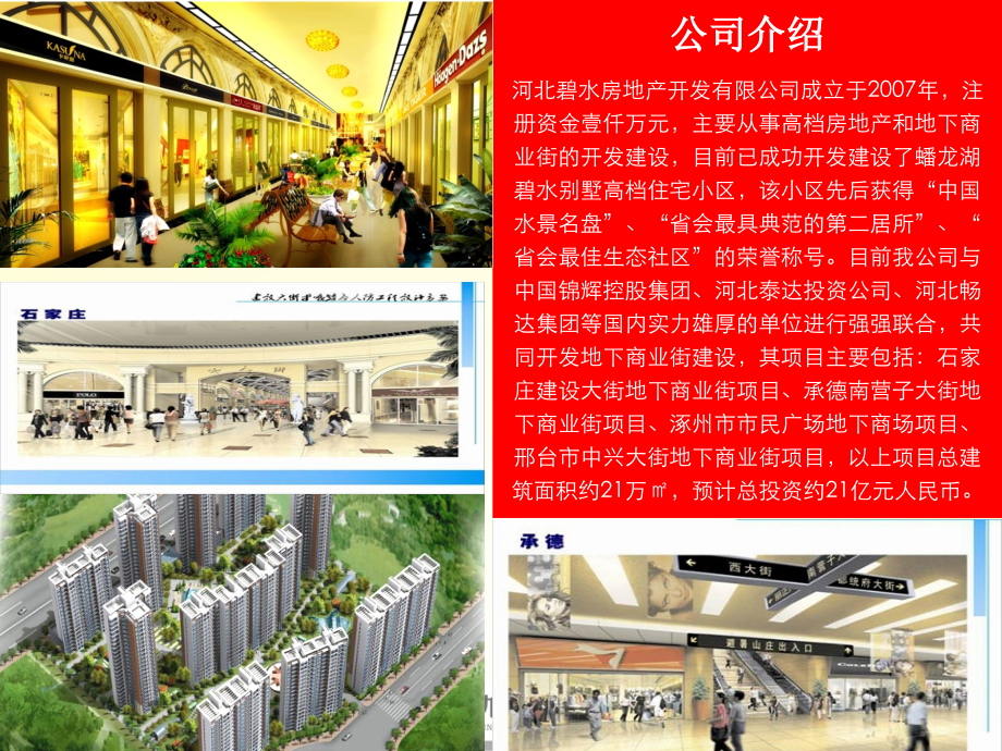 2011衡水枣强大营火车站地块营销策划报告102p_第4页