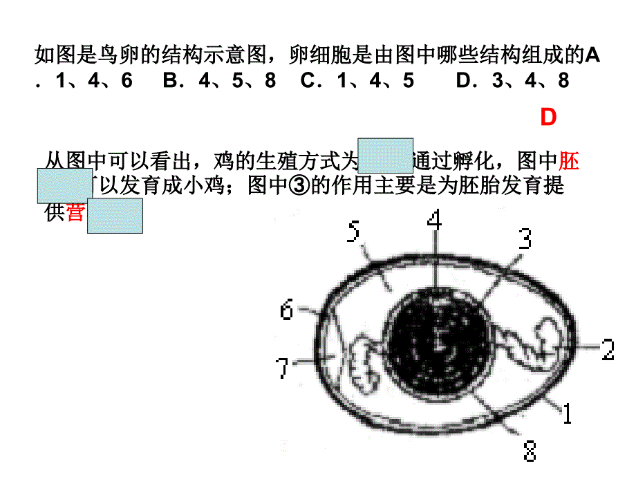 2014初二生物期末复习用_第3页