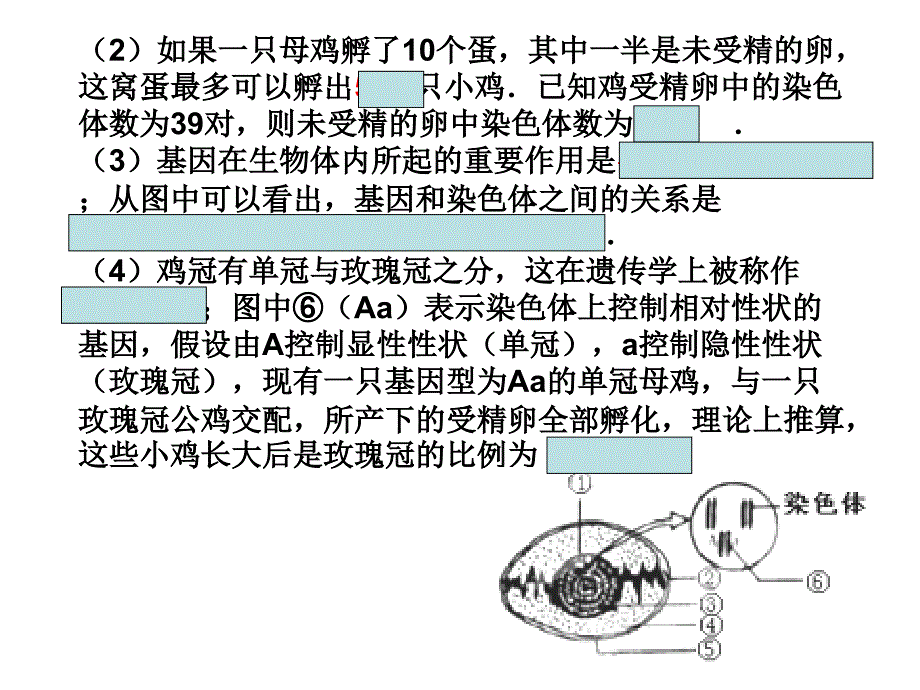 2014初二生物期末复习用_第4页