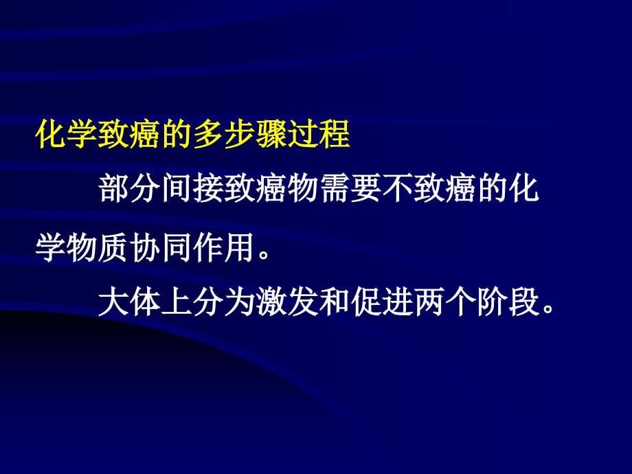 基础医学北大病理学ppt课件第十一节_肿瘤的病因学_第5页