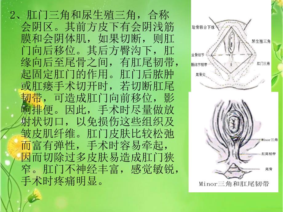 肛肠手术的基本理论ppt课件_第3页