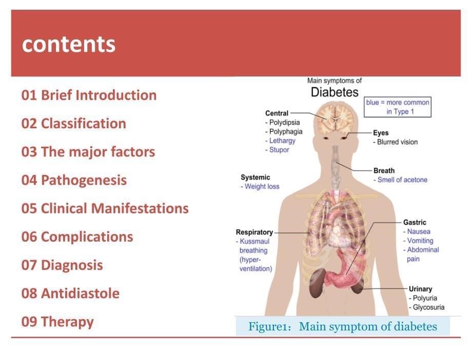 糖尿病英文ppt课件_第5页